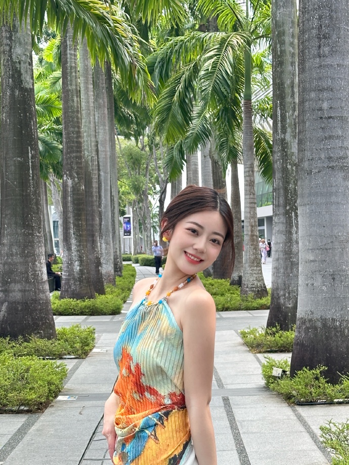 我的团长我的团 封面